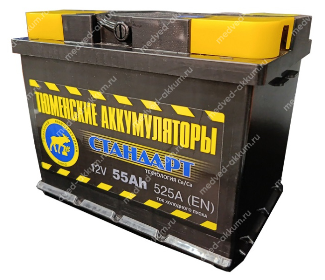 Тюмень Standard 55 Ач пр. L2