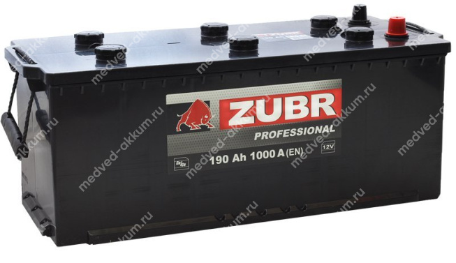 ZUBR Professional 190 Ач евро. штырь B борт